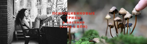 круглые Бронницы
