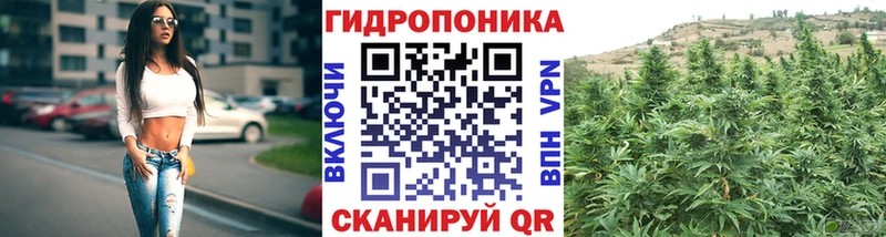 Конопля тримм  мориарти официальный сайт  Мончегорск 